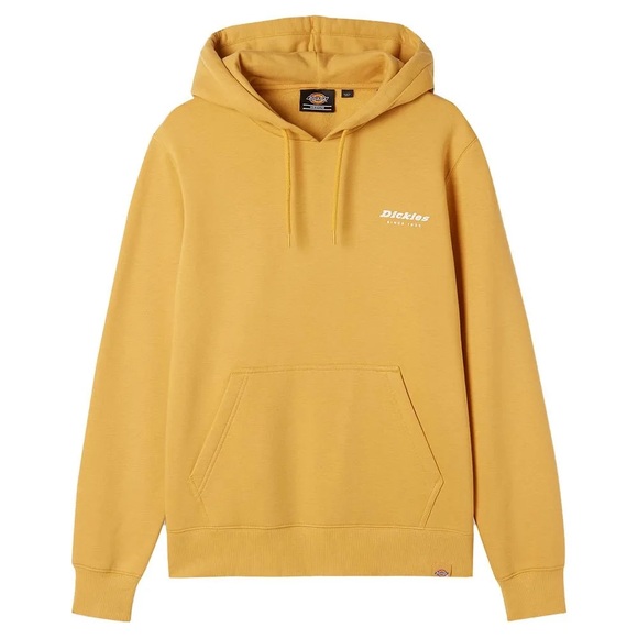 Dickies Camden Box hoodie - Picture 1 of 5